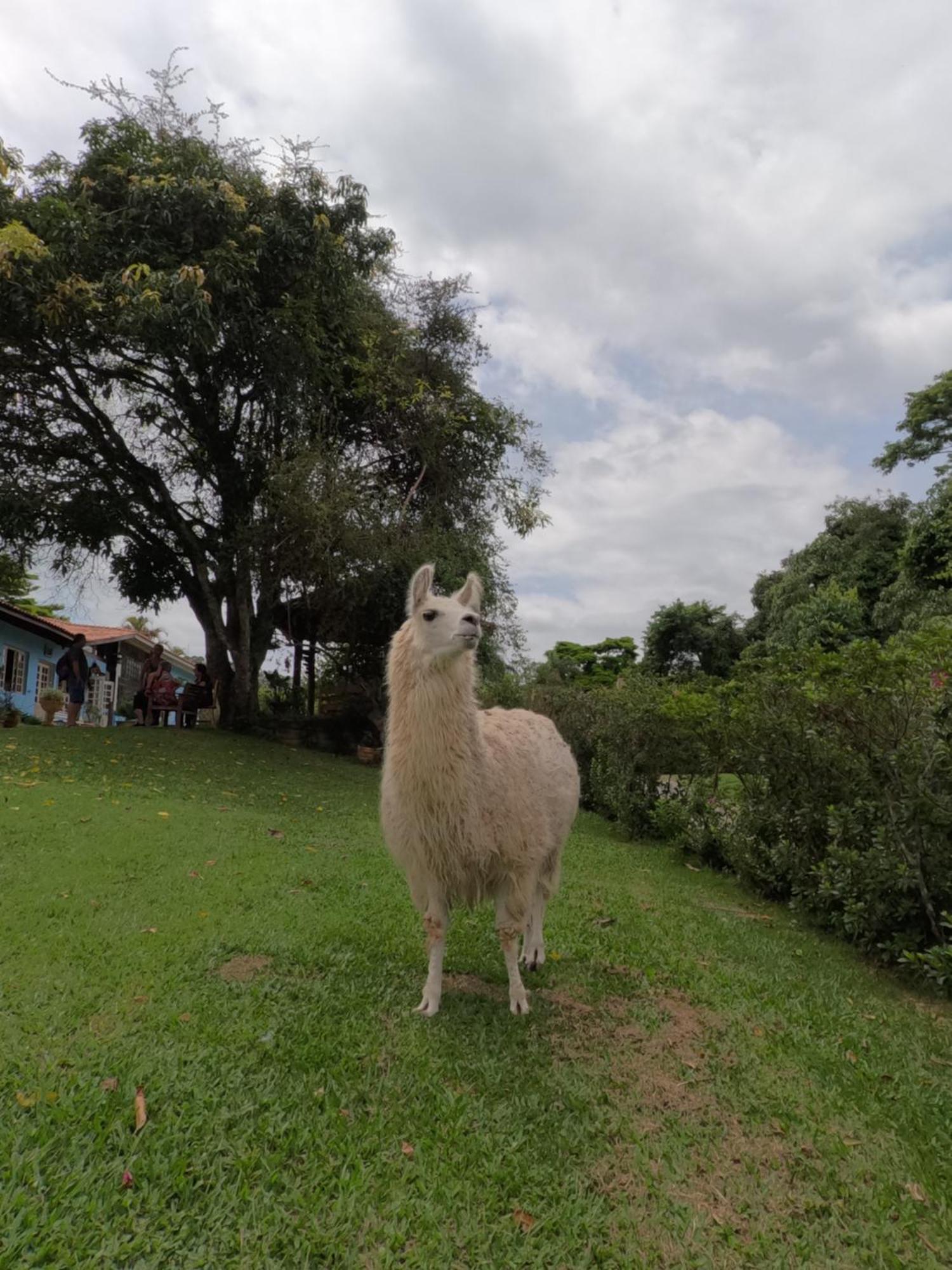 Aldeia Parque Pousada Rural São Roque Exterior foto
